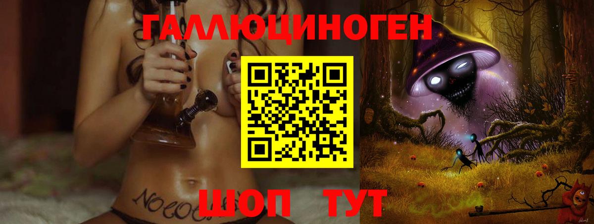 Псилоцибиновые грибы Cubensis  Вход с VPN  Свободный  Галлюциногенные грибы Cubensis 